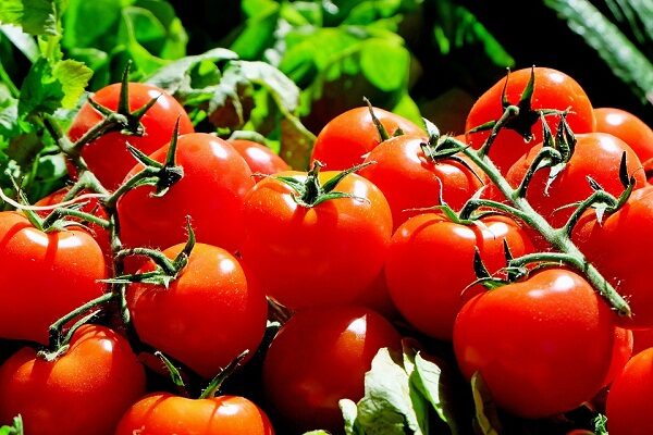 prisnilis-pomidory-krasnye-2